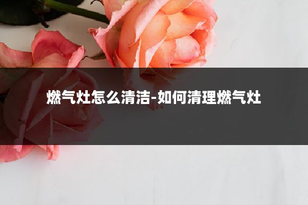 燃气灶怎么清洁-如何清理燃气灶