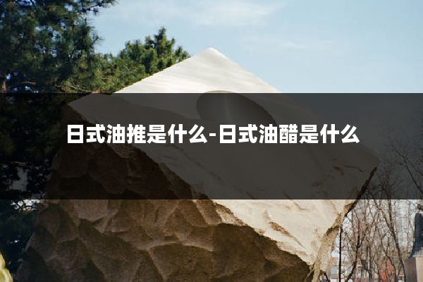 日式油推是什么-日式油醋是什么