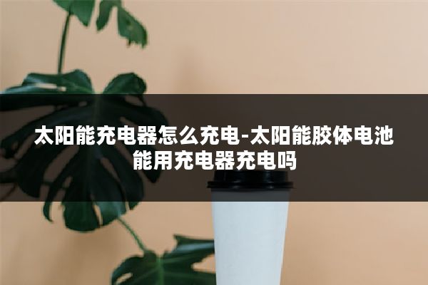 太阳能充电器怎么充电-太阳能胶体电池能用充电器充电吗