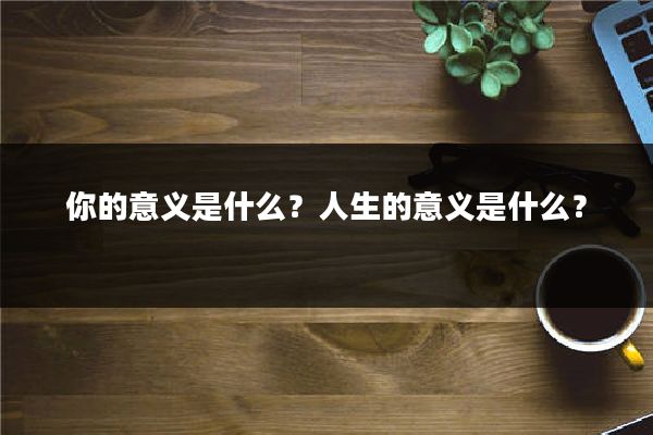 你的意义是什么？人生的意义是什么？