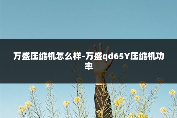 万盛压缩机怎么样-万盛qd65Y压缩机功率