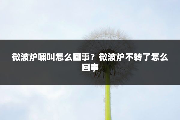 微波炉啸叫怎么回事?微波炉不转了怎么回事