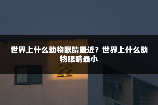 世界上什么动物眼睛最近?世界上什么动物眼睛最小