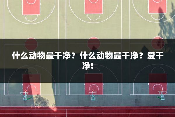 什么动物最干净?什么动物最干净?爱干净!