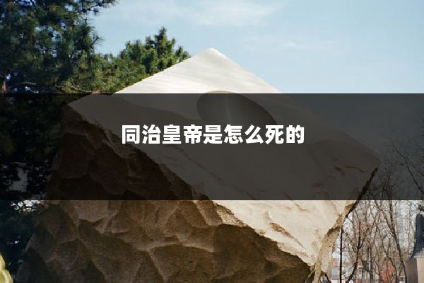 同治皇帝是怎么死的