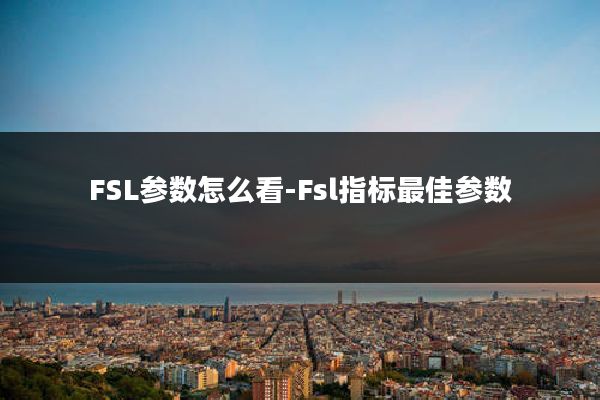 FSL参数怎么看-Fsl指标最佳参数