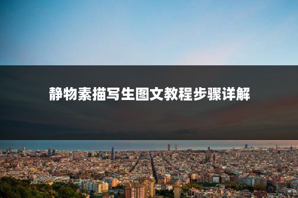 静物素描写生图文教程步骤详解