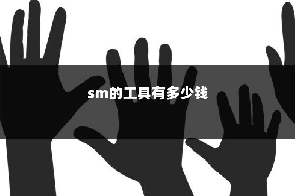 sm的工具有多少钱