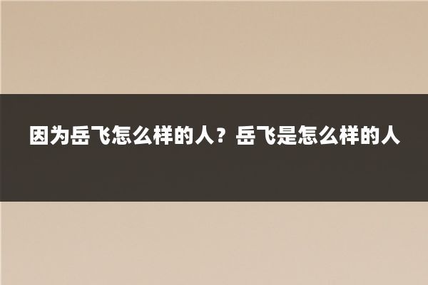 因为岳飞怎么样的人？岳飞是怎么样的人