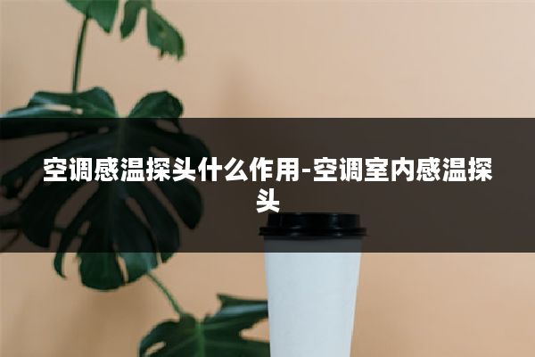 空调感温探头什么作用-空调室内感温探头