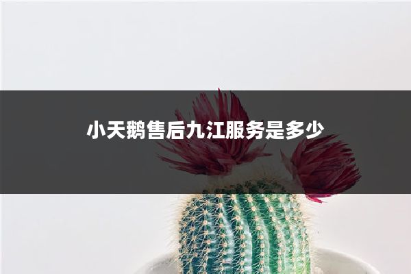 小天鹅售后九江服务是多少