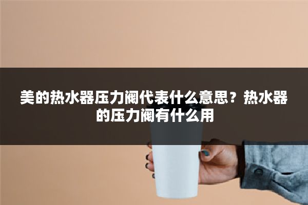美的热水器压力阀代表什么意思?热水器的压力阀有什么用