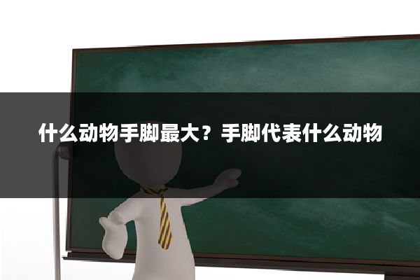 什么动物手脚最大？手脚代表什么动物