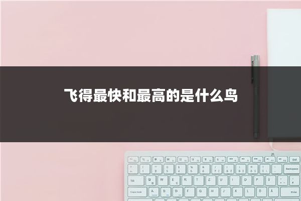 飞得最快和最高的是什么鸟