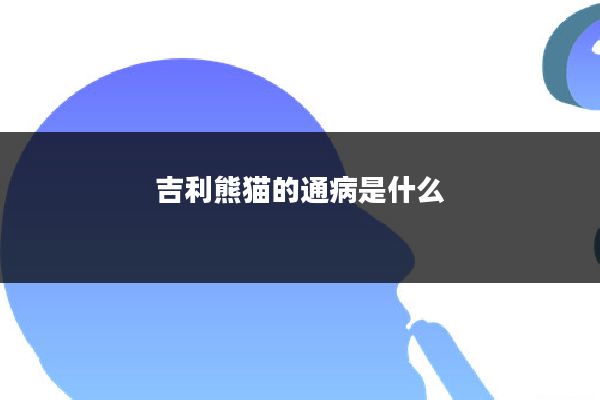 吉利熊猫的通病是什么