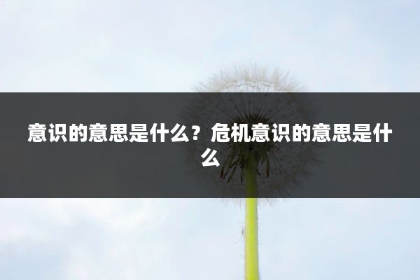 意识的意思是什么?危机意识的意思是什么