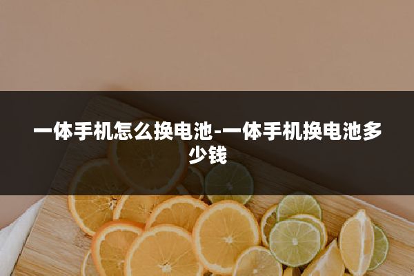 一体手机怎么换电池-一体手机换电池多少钱