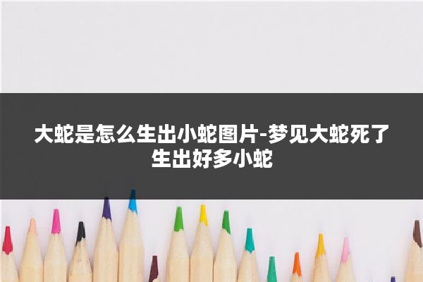 大蛇是怎么生出小蛇图片-梦见大蛇死了生出好多小蛇