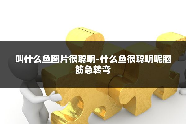 叫什么鱼图片很聪明-什么鱼很聪明呢脑筋急转弯