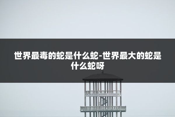 世界最毒的蛇是什么蛇-世界最大的蛇是什么蛇呀