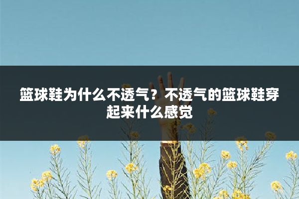 篮球鞋为什么不透气?不透气的篮球鞋穿起来什么感觉