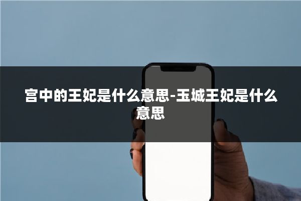 宫中的王妃是什么意思-玉城王妃是什么意思
