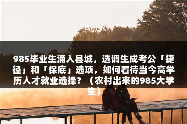 985毕业生涌入县城，选调生成考公「捷径」和「保底」选项，如何看待当今高学历人才就业选择？（农村出来的985大学生）