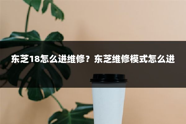东芝18怎么进维修？东芝维修模式怎么进