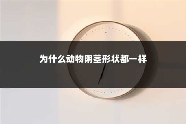为什么动物阴茎形状都一样