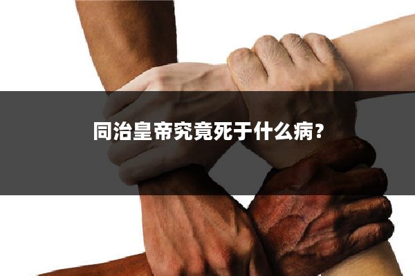 同治皇帝究竟死于什么病？