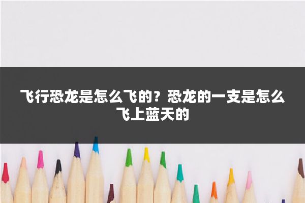 飞行恐龙是怎么飞的？恐龙的一支是怎么飞上蓝天的