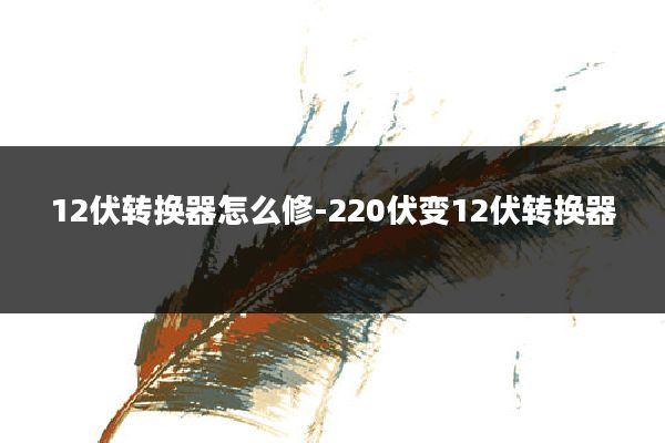 12伏转换器怎么修-220伏变12伏转换器