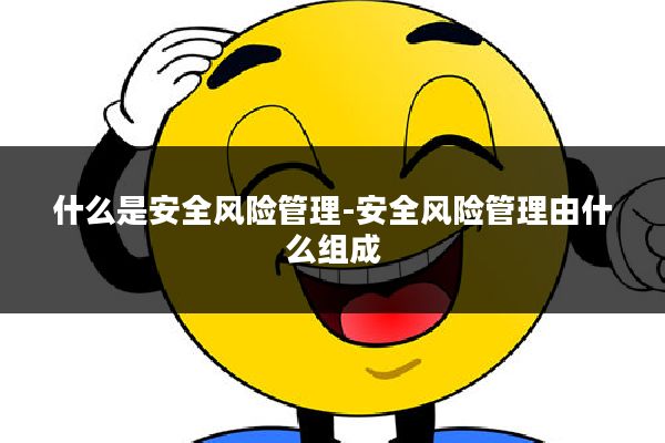 什么是安全风险管理-安全风险管理由什么组成