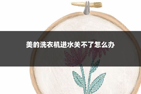 美的洗衣机进水关不了怎么办