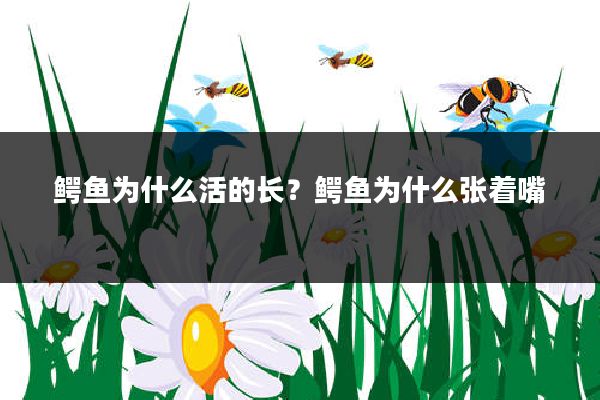 鳄鱼为什么活的长？鳄鱼为什么张着嘴