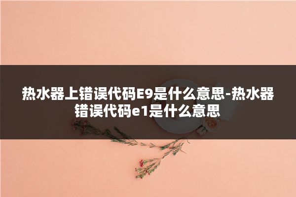 热水器上错误代码E9是什么意思-热水器错误代码e1是什么意思