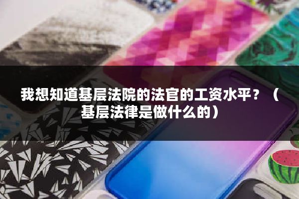 我想知道基层法院的法官的工资水平？（基层法律是做什么的）