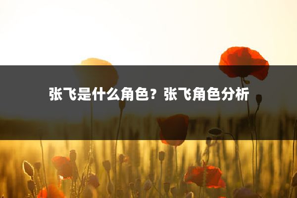 张飞是什么角色?张飞角色分析