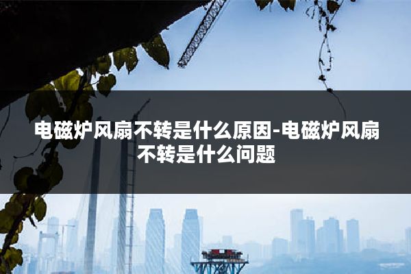 电磁炉风扇不转是什么原因-电磁炉风扇不转是什么问题