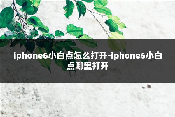 iphone6小白点怎么打开-iphone6小白点哪里打开
