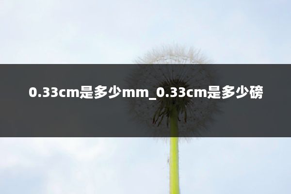 0.33cm是多少mm_0.33cm是多少磅
