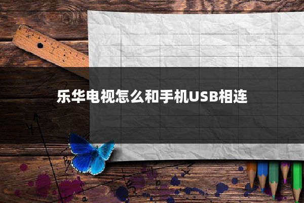 乐华电视怎么和手机USB相连