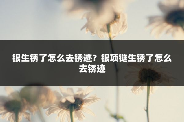 银生锈了怎么去锈迹？银项链生锈了怎么去锈迹