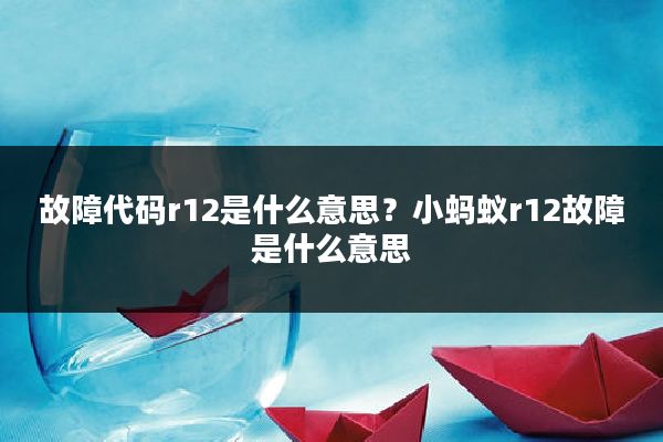 故障代码r12是什么意思?小蚂蚁r12故障是什么意思