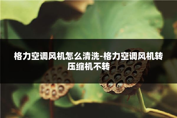 格力空调风机怎么清洗-格力空调风机转压缩机不转