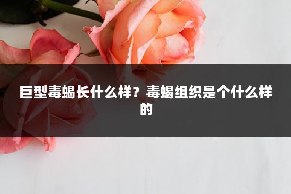 巨型毒蝎长什么样?毒蝎组织是个什么样的