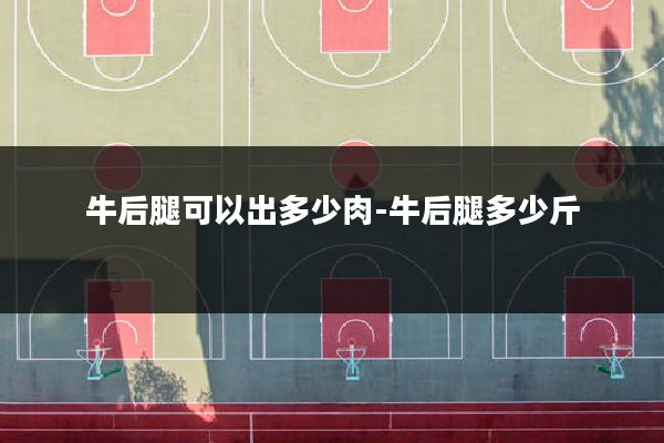 牛后腿可以出多少肉-牛后腿多少斤