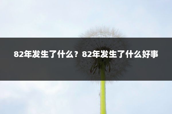 82年发生了什么?82年发生了什么好事