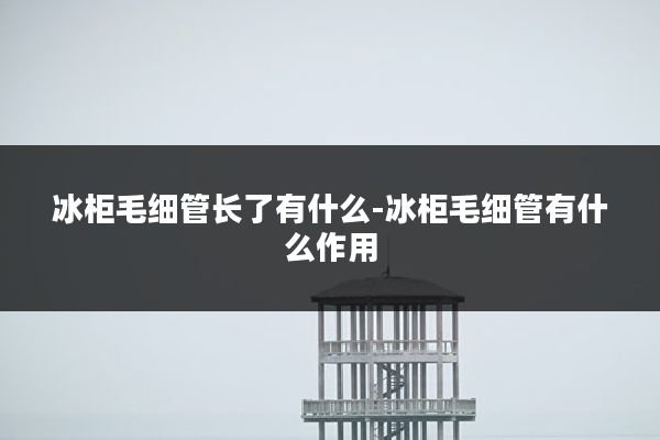 冰柜毛细管长了有什么-冰柜毛细管有什么作用