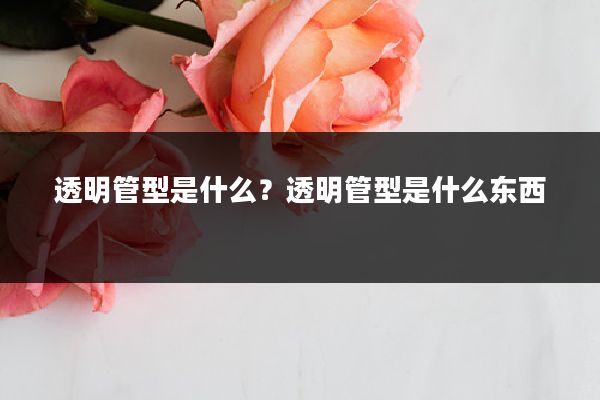 透明管型是什么？透明管型是什么东西